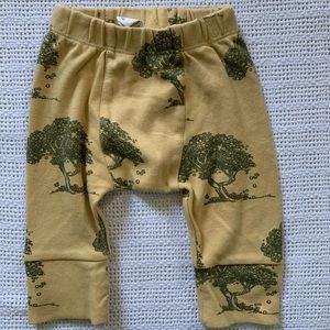 BUNDLE!!! Kate Quinn Panda Pants 3-6 months